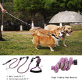 3 Dog Leash for 1-3 Dogs, Multiple Dog Leash, 360° Swivel No Tangle, Purple