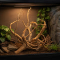 emours Driftwood for Aquarium, Large Tall Natural Aquarium Wood for Fish Tank Decor, 12-18 Inch (30-45 cm) Driftwood for