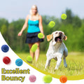 Swingers Squeaky Tennis Balls for Dogs,2.5 inch Training Tennis Balls,Exercise Ball for Pet Dog with Mesh Carry Bag Easy to Transport (Multicolor, 6 Pack)