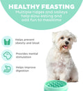 Outward Hound Fun Feeder Slo Bowl Dog Slow Feeder, Wave, Mint, 5.8"