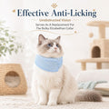 Cat Neck Brace Adjustable Elizabethan Collar After Surgery Recovery