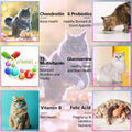 Cat Vitamins,15 in 1 Cat Multivitamin Liquid Drops Supplements for Heart Health, Bones, Joint, Skin & Coat, Digestion, I