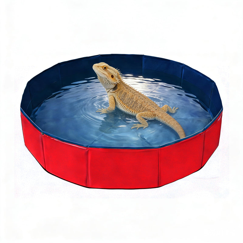 Crikon Foldable Pet Bath Pool, Collapsible Dog Bath Tub for Large & Small Dogs, Cats, Bearded Dragon, Portable Outdoor Swimming Pool for Camping, Washing Vegetables (Small Animal - Red)