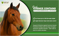 Horse Paste 1.87%, Apple Flavored – 6.08g Oral Gel Syringes (3-Pack) – Adjustable Dosing – for Equine Use Only