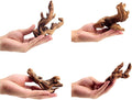 YZHZOM Small Natural Driftwood for Aquarium Styling Carefully Selected Natural Aquarium Decor Driftwood for Reptile Tank