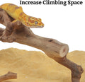 VCEPJH Snake Climbing Branch, 2Pcs Reptile Wood Natural Cork Log Tank Accessories Tree Trunk for Chameleon Bearded Drago