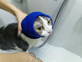 DDFS 2 Pack Cat Ear Wrap, Anxiety Ear Cover Hematoma Compressionp Cat Snood for Grooming Blue+Grey S
