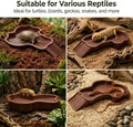 Reptile Bathing Pool with Ramp, Tortoise Water Dish & Reptile Food Dish Box