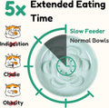 Slow Feeder Bowl for Cats and Small Dogs - Set of 3 Melamine Puzzle Cat Dish for Wet & Dry Food- Whisker Friendly & Dishwasher Safe & Non Slip Design (Pink +Blue + Green, 6.3" W × 1.2" H
