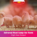 LUCKY HERP Infrared Heat Lamp for Chickens - 250 Watts Red Heat Lamp Bulb 1 Pack, Heat Light Bulb for Brooder Coop, Food