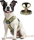 No Pull Dog Harness - Adjustable Reflective Dog Vest with Metal Snap, Soft Breathable Mesh No Choke Puppy Harness, Easy 