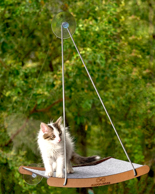 GuapoFurever Durable Window Cat Bed – Eco, Heavy-Duty Suction Cups, cat Window Hammock & Washable Cover, Space-Saving Window Seat, Strong Suction Cup Window Perch for Indoor Felines (Medium)
