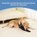 Dog Socks to Prevent Licking Paws ，Breathable Dog Leg Sleeve to Stop Licking and Biting， Firm and Secure Protect Wounds 