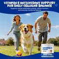 Vitamin E for Dogs Powder, Skin & Coat Support with Antioxidant Activity