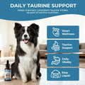 Taurine Supplement for Dogs Liquid Drops, Coenzyme Q10 & L-Carnitine