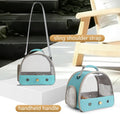 Bird Carrier, Portable Small Bird Parrot Parakeet Carrier with Standing Perch and Mat, Side Access Window Collapsible