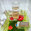 Jumping Spider Accessories, Jumping Spider Water Dispenser, Magnetic Hanging Feeder with Tweezers for Jumping Spiders, T