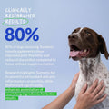 Turmeric for Dogs Anti Inflammatory Pain Relief - 120 Chewable Tablets - Hip & Joint Support Anti Inflammatory for Dogs with Curcumin and BioPerine (Turmeric Tablet)
