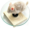 11" Silent Chinchilla Wheel Glass Chinchillas Exercise Wheel(11inch)