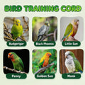 Bird Leash, 3-Meter Long, with Size 4 Foot Loop for Small Budgie and Lark, Lightweight Training Lead for Outdoor Use