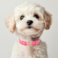 Babole Pet Pink Checkerboard Dog Collar, Classic Girly Plaid Dog Collars, Adjustable Heavy Duty Girl Dogs Collar for Small Medium Large Dogs with Metal Buckle M