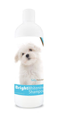Healthy Breeds Maltese Bright Whitening Shampoo 12 oz, Pina Colada