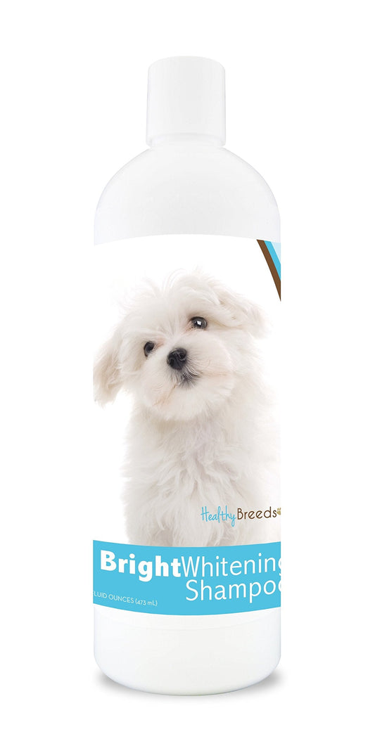 Healthy Breeds Maltese Bright Whitening Shampoo 12 oz, Pina Colada