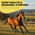 Insulin Resistance Supplement for Horses, High Insulin & Laminitis Formula