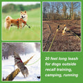 Vivifying Floating Long Dog Leash, 20ft Dog Training Leash for Swimming and Lake, Reflective Long Rope Lead with Soft Handle for Outside, Yard, Camping, Hiking and Beach (Green)
