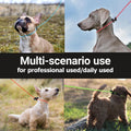 Reflective Slip Lead Leashes Puppy Training Lead – 4.3mm Paracord Rope with 12-Core Strength, 1000lb Pull Force Set of 2