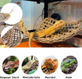 Tfwadmx 3 Pack Bearded Dragon Hammock Lizards Lounger Reptile Climbing Accessories, Natural Seagrass Fibers Hammock for 
