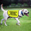 Zuo Bao Therapy Dog Jacket Vest for Large Dogs (Therapy Dog in Training-Large)