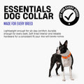 Dog Friendly Co. Essentials Dog Collar (Large-Extra Large, Pink Camo)