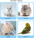 3 Pcs Adjustable Recovery Bird Cone Collar,Hamster Elizabeth Collar Protective Cones for Sugar Glider Hamster Ferret Squ