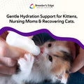Breeder’s Edge Kitten Lyte, Electrolyte Supplement for Kittens and Nursing Cats, Supports Hydration, Energy & Recovery, Chicken Soup Flavor, 300g