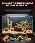 UVB Light for Reptile 8W, T5 UVB Reptile Light Fixture HO Combo Kit with Test Sensor Cards, 12" High Output Reptiles Lig