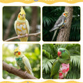 6 Pcs Bird Diapers, Parrot Diaper Reusable with Waterproof Lining