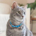 CollarDirect Leather Cat Collar with Removable Bell – Safety Elastic Strap (Breakaway Alternative) – Kitten Collar for Small & Big Boy & Girl Cats