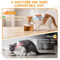 2 Set Raised Slow Feeder Cat Bowl with Stand Ceramic