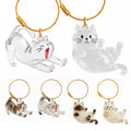 OGNWFUNK 2Pcs Cat Hair Keepsake Bottles, Pet Hair Keychain for Collecting Hair, Furever Gift for Pet Lovers, Cat Keychain Memory Keepsake