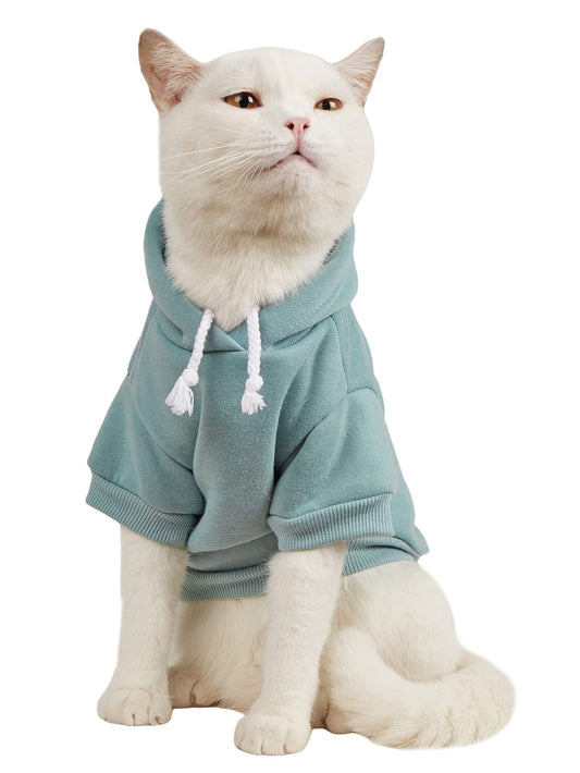 QWINEE Basic Dog Hoodie Sweatshirt Puppy Sweater Warm Cat Costumes Pet Clothes for Chihuahua Puppy Kitten Small Medium Dogs Cadet Blue Medium