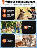 2-in-1 Dog Bark Collar with Remote & Training Collar, 5-120 lbs