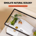 Turtle Fish Tank with Basking Platform and Bottom Drainage, 11.8" x 7" x 7.3" Aquatic Turtle Tank for Juvenile Turtle, C