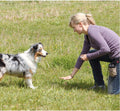 VOBRAMY Dog Training Clicker with Wrist Strap Durable Lightweight Easy to Use-2 Pack(Black+New Blue)