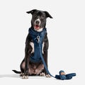 Wild One Dog Harness, The Original No-Pull, Pet Harness Size L