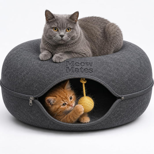 MeowMates Peekaboo Cat Cave Donut Bed for Multiple Cats Upto 45lbs, 3-in-1 Large Cat Tunnel & Donut Bed Combo w Round Tunnel Scratcher for Indoor Cats, Hanging Toy, Washable & Detachable - Dark Grey