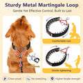 Crazy Felix No Pull Dog Collar, Heavy-Duty Metal Martingale Hidden Collar