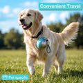 Portable Dog Water Bottle with Bowl, 10oz Leak-Proof Stainless Steel Dog Travel Water Bottle, BPA-Free Pet Water Dispens