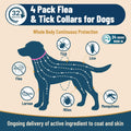 4 Pack Flea Collar for Dogs, 32 Months Flea and Tick Prevention for Dogs