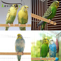 Lesimnky 30PCS Birds Perch Covers, Sand Perch for Bird Cage Platform Accessories Bird Perch Covers Sandpaper Sand Perch Covers for Parakeets Canaries Finches & Small Birds, Yellow